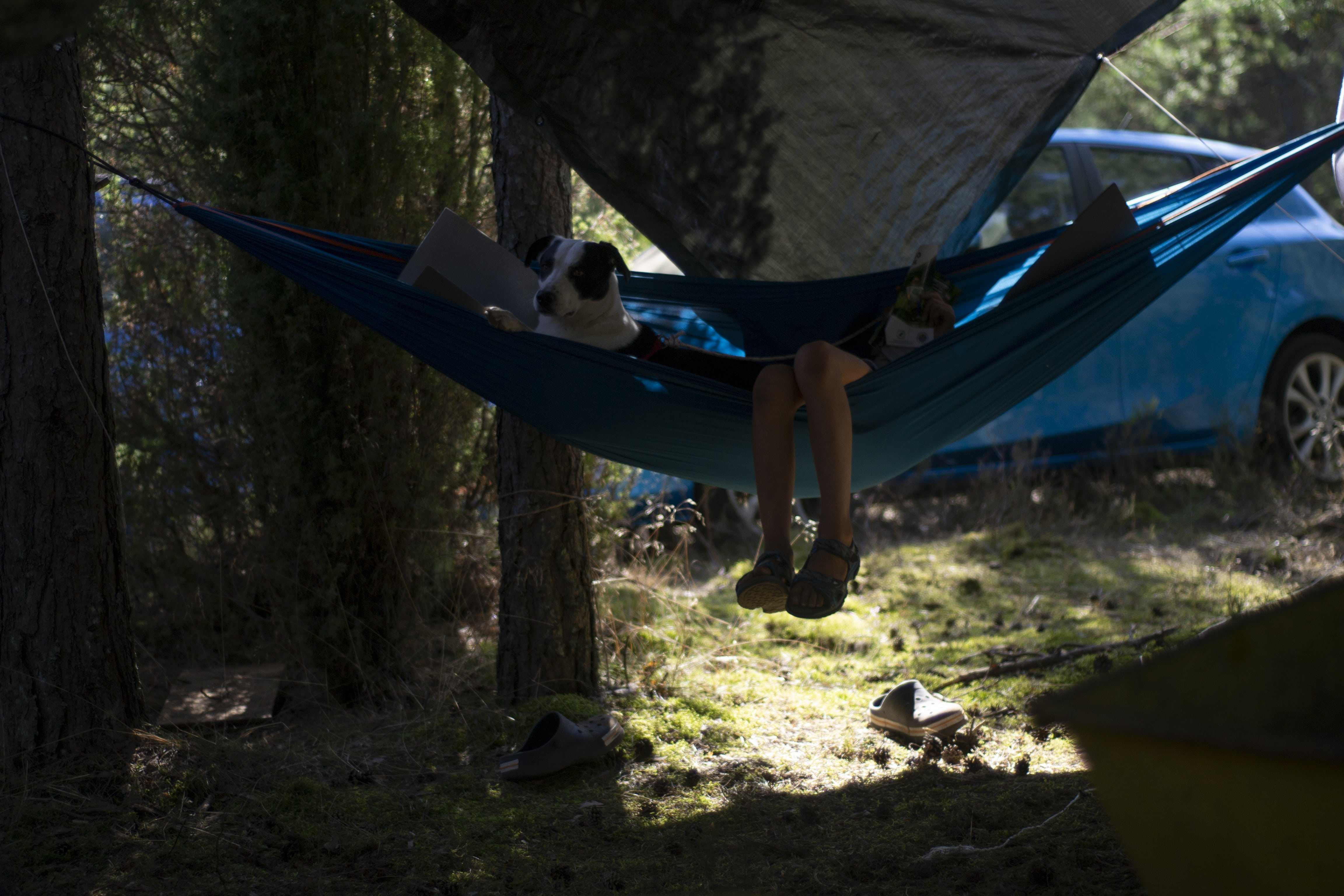 Hamak w lesie - przestrzeń odpoczynku i refleksji