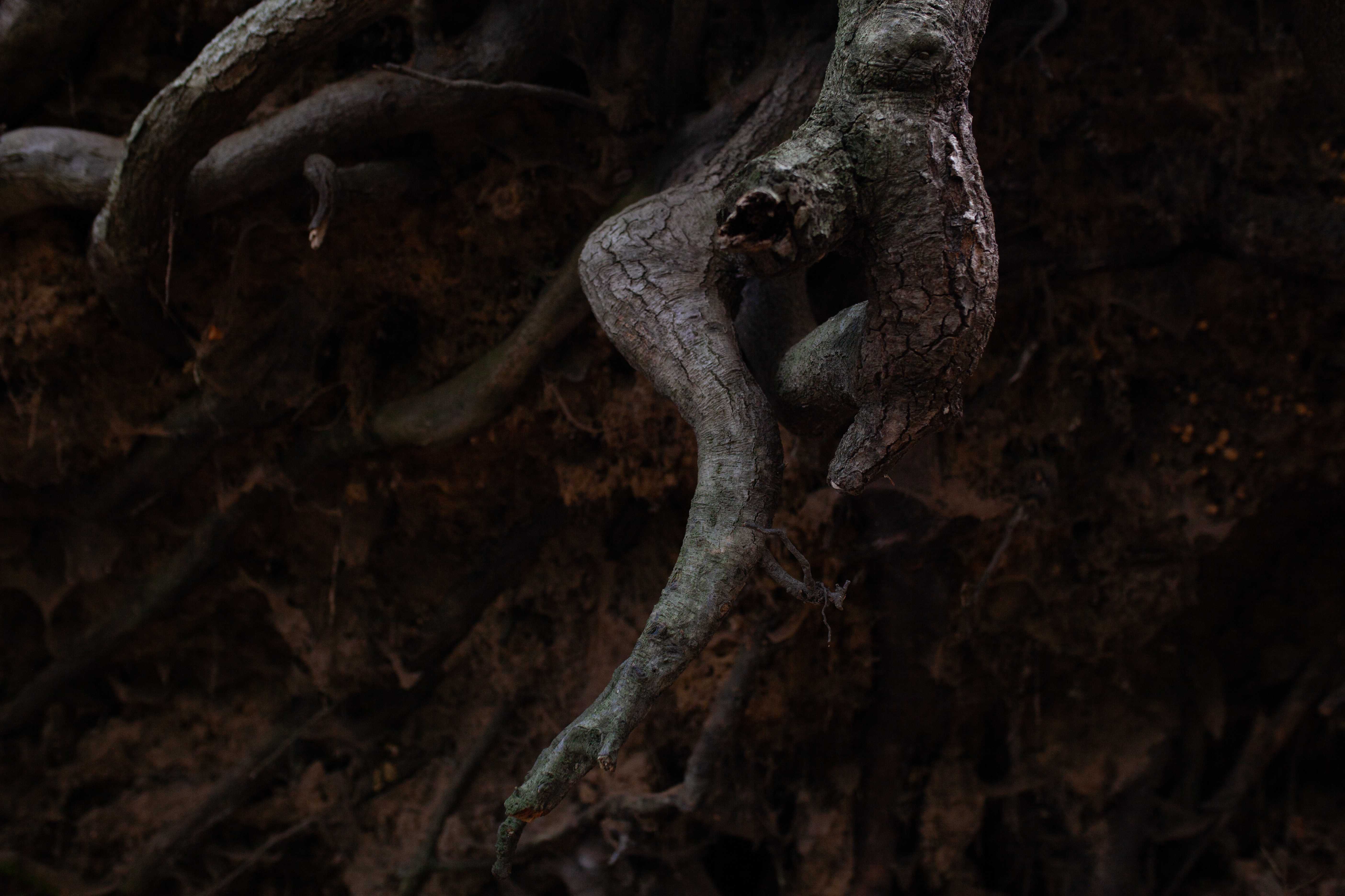 Zmrok symbolizujący trudne doświadczenia i potrzebę wsparcia